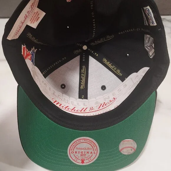 Mitchell and Ness Toronto Jays Hat - Picture 3 of 4